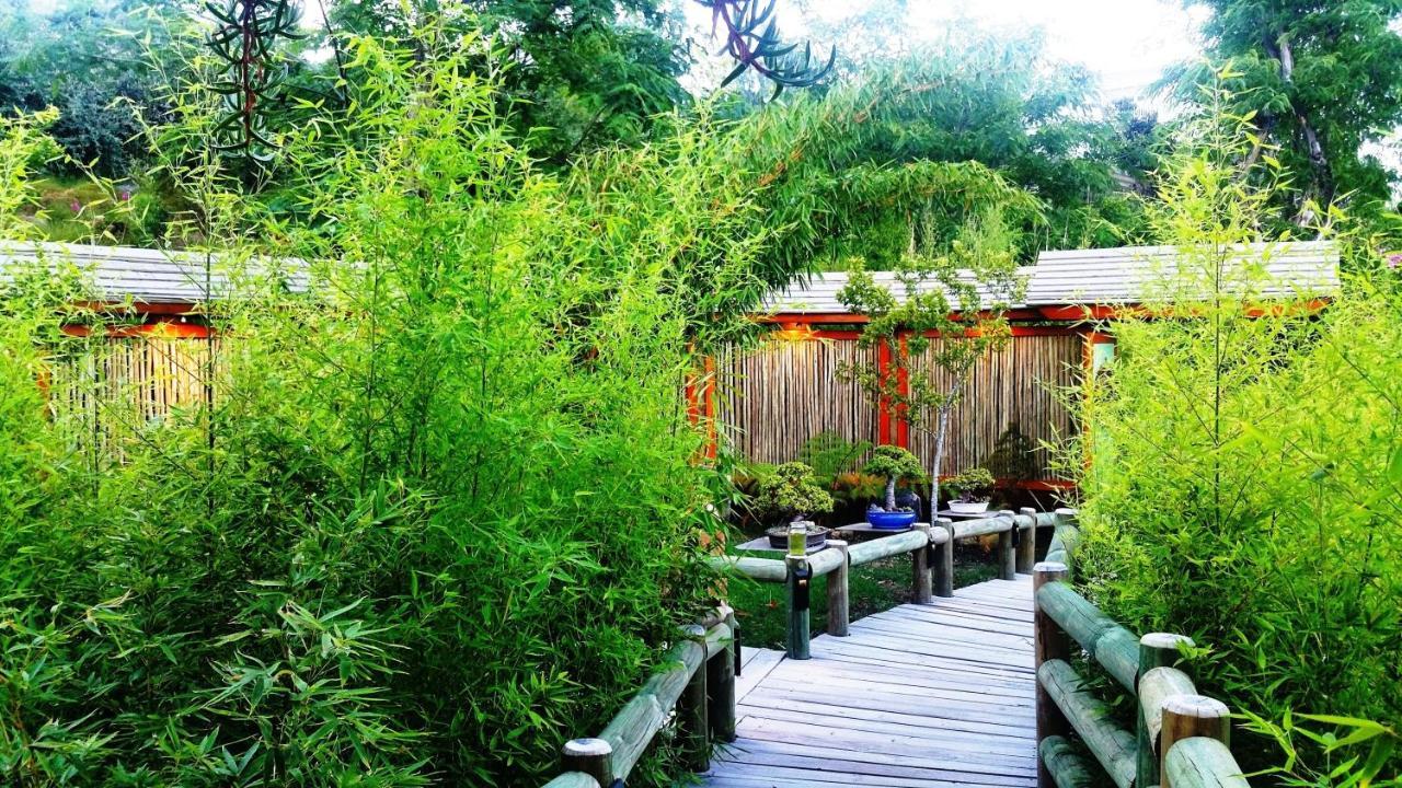 Paradise Private Zen Studios Knysna Luaran gambar